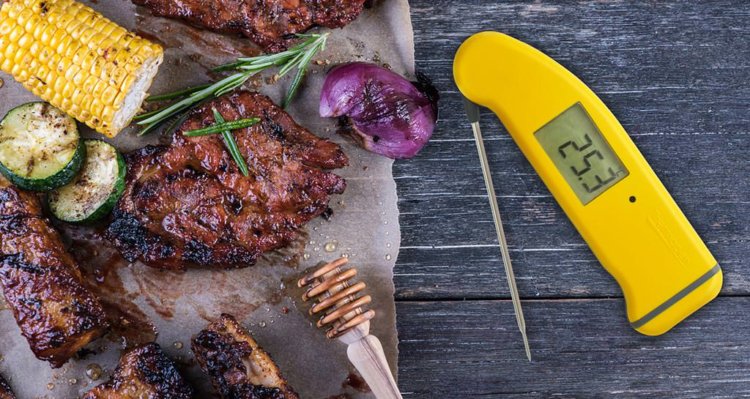 Why Use a Thermapen Thermometer?