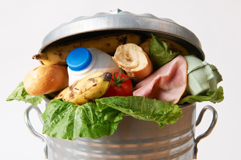 5 Temperature Tips for Reducing Food Waste