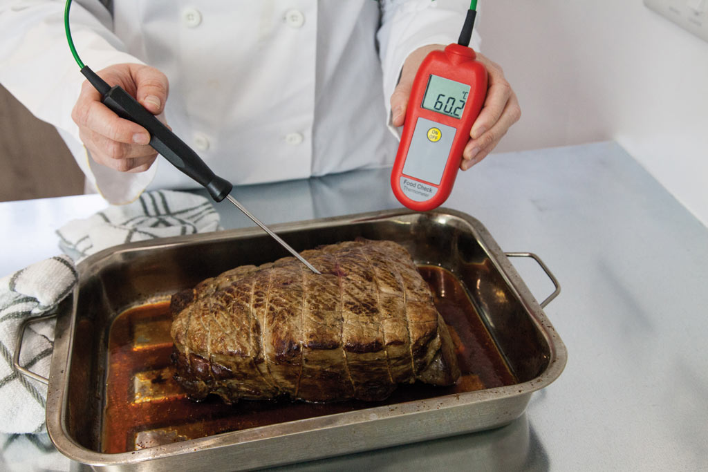 Food check thermometer