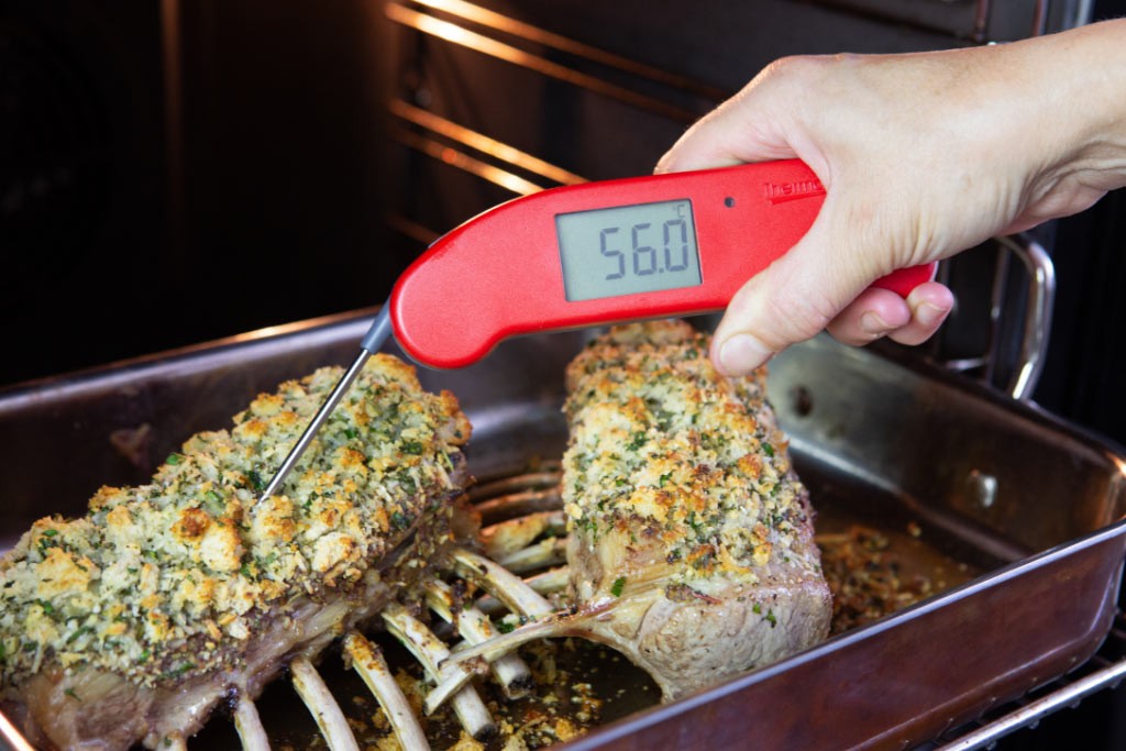 Thermapen ONE thermometer