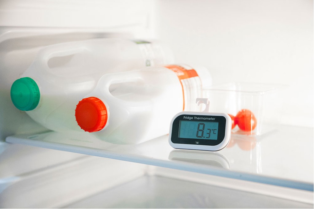 A Guide to Fridge Temperatures and Fridge Thermometers