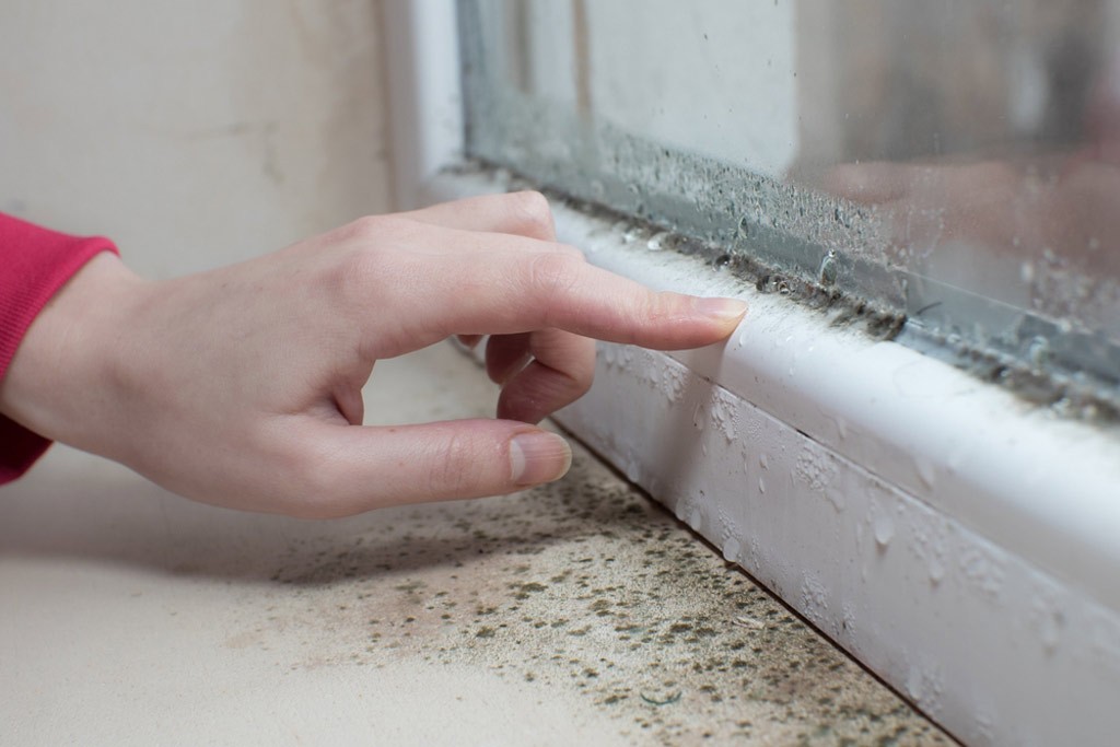How to Prevent Damp in Winter