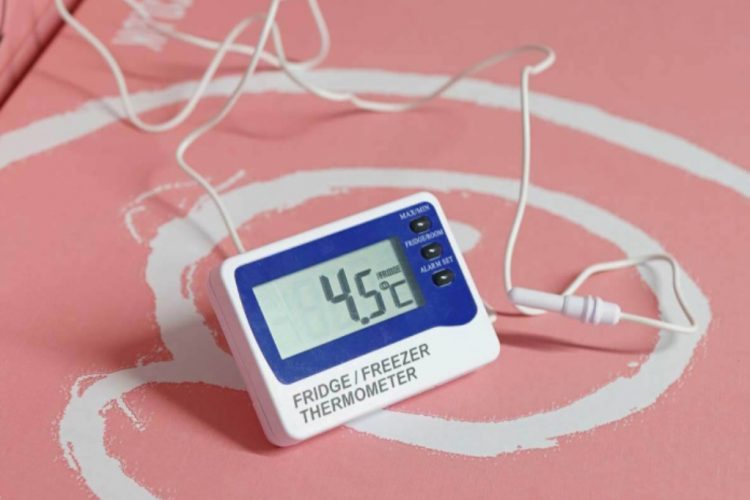 5 Best Fridge Thermometers for Business & Home